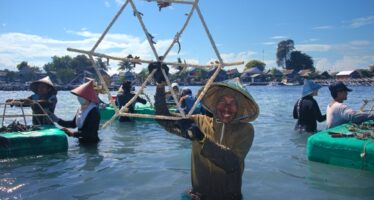 Vier Tage, 30.000 Korallenfragmente: Groß-Event zur Wiederherstellung von Korallenriffen am World Oceans Day