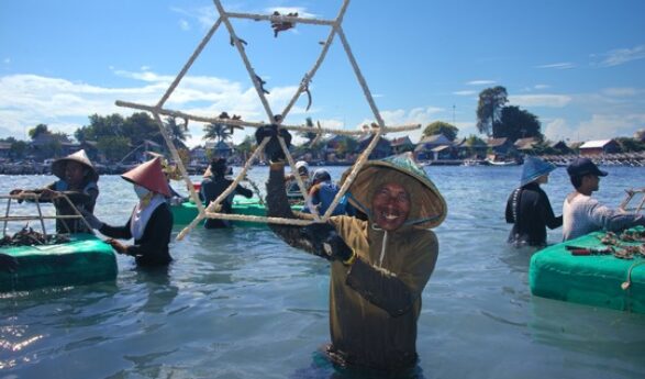 Vier Tage, 30.000 Korallenfragmente: Groß-Event zur Wiederherstellung von Korallenriffen am World Oceans Day