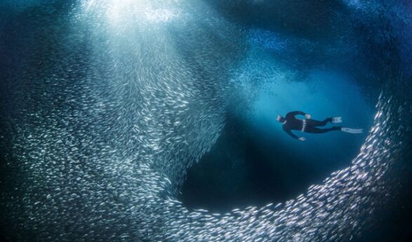 Dive Deeper – Tauch durch deine Angst