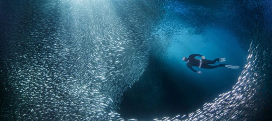 Dive Deeper – Tauch durch deine Angst