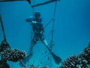 Die Ozeangärtner von Fishermans Cove ziehen Bilanz