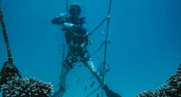 Die Ozeangärtner von Fishermans Cove ziehen Bilanz