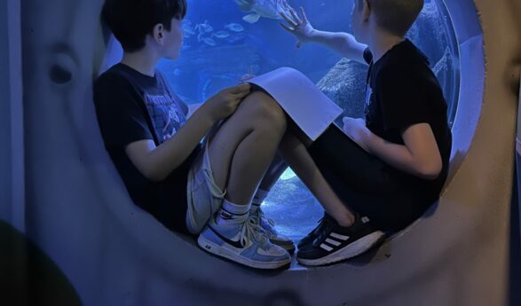 SEA LIFE Berlin sucht Meeresbotschafter