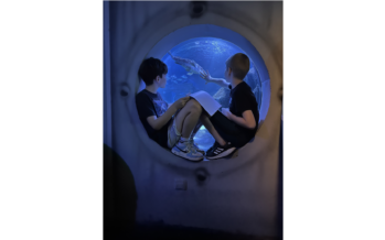 SEA LIFE Berlin sucht Meeresbotschafter