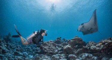 Eintauchen in die Welt der Mantarochen mit der „Manta Retreat“- Experience im InterContinental Maldives