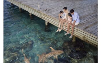 Die Natur als Hauptdarsteller