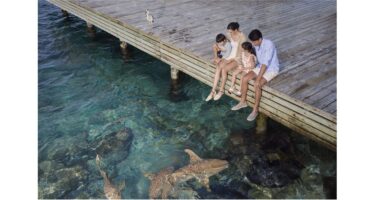 Die Natur als Hauptdarsteller